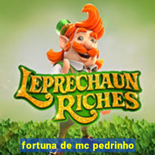 fortuna de mc pedrinho